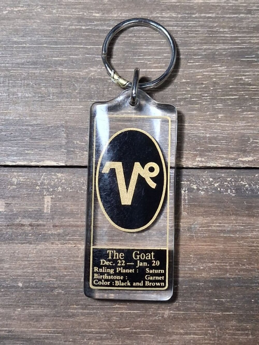 Vintage Capricorn Keychain Zodiac Horoscope The Goat Lucite Acrylic Key  Fob 80s